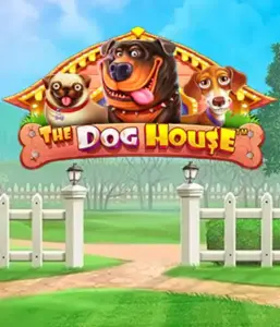 Experience Pragmatic Play's The Dog House Slot, offering an adorable adventure through charming canines. Enjoy gameplay elements such as sticky wilds, aimed at delivering exciting wins. Perfect for animal enthusiasts a cheerful atmosphere and the opportunity to win big.