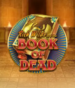 Enter the thrilling world of Book of Dead Slot by Play'n GO, showcasing vivid graphics of Rich Wilde’s adventurous journey through ancient Egyptian tombs and artifacts. Find lost riches with exciting mechanics like free spins, expanding icons, and a gamble option. Ideal for adventure enthusiasts with a desire for unearthing secrets.